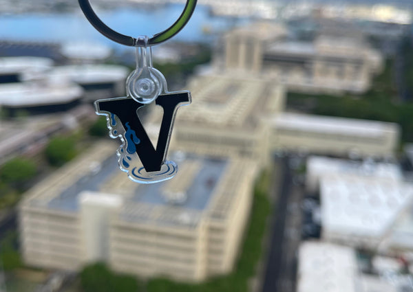 VNTGDRIP Key Chain